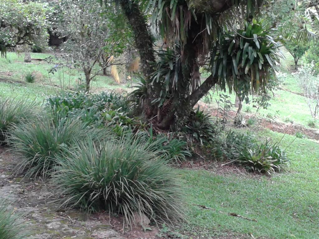 Turvo dos Gois Pousada Recanto Aguas Vivas מראה חיצוני תמונה